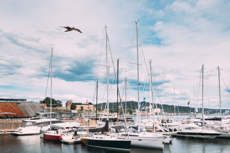 Flyttevask Aker Brygge